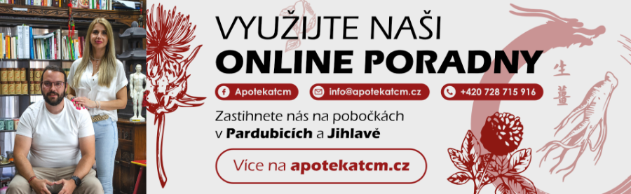 Tradiční čínská medicína - slovník pojmů